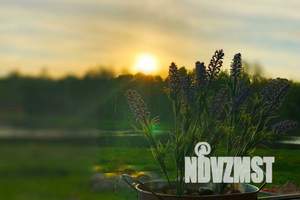 Дом 150м², 2-этажный, посуточно,