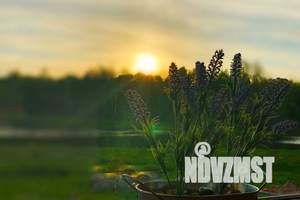 Дом 150м², 2-этажный, посуточно, 