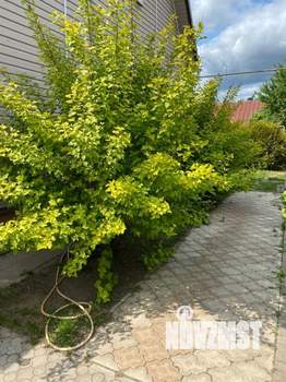 Коттедж 145м², 2-этажный, участок 7 сот.  