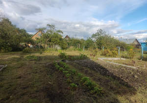 Дом 35м², 1-этажный, участок 8 сот.  