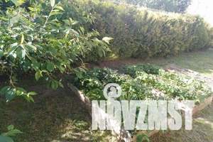 Дом 150м², 1-этажный, участок 7 сот.  