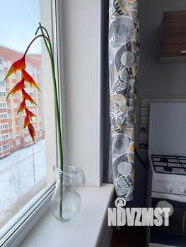 1-к квартира, посуточно, 37м2, 6/9 этаж