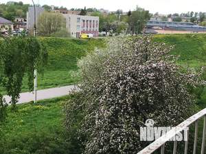 1-к квартира, посуточно, 31м2, 3/5 этаж