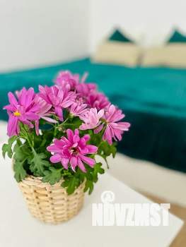 1-к квартира, посуточно, 42м2, 5/9 этаж