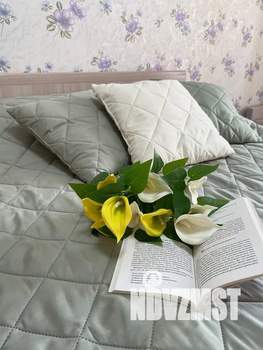 1-к квартира, посуточно, 32м2, 2/9 этаж