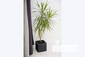 1-к квартира, посуточно, 45м2, 9/9 этаж