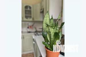 1-к квартира, посуточно, 30м2, 2/5 этаж