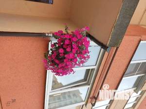 2-к квартира, посуточно, 65м2, 1/1 этаж