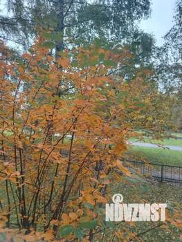 3-к квартира, вторичка, 63м2, 1/9 этаж