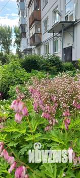 2-к квартира, вторичка, 48м2, 1/5 этаж